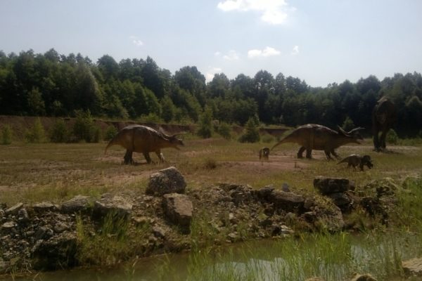 Park dinozaurów - Triceratops